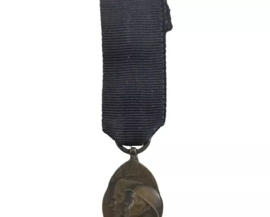 België - De Medaille van de Vrijwillige Strijder 1914-1918 - miniatuur